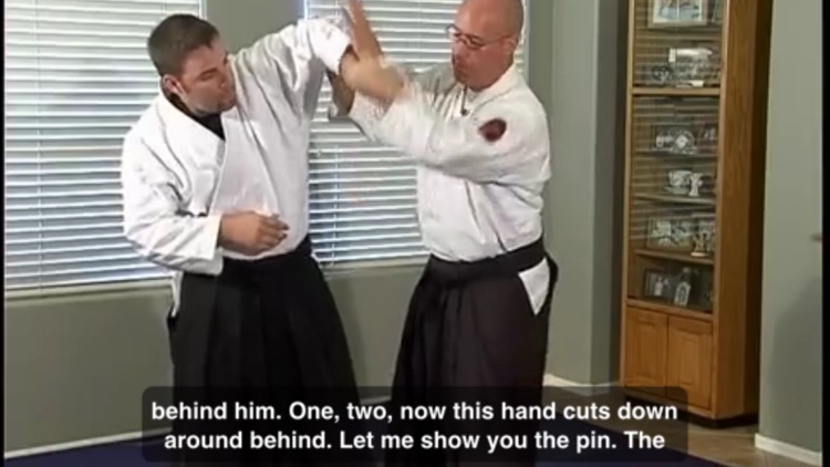 Aikido Master Class