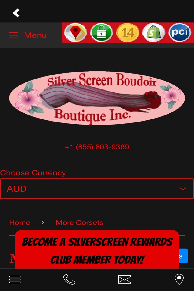 Silver Screen Boudoir Lingerie screenshot 3