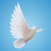 Dove Sounds icon