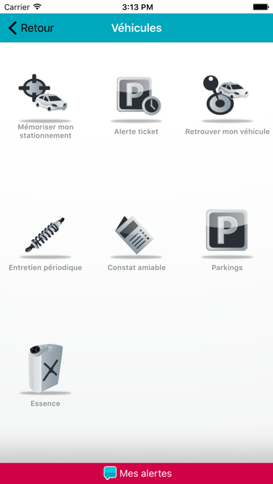 Screenshot #2 pour Verspieren Fleet Assistance
