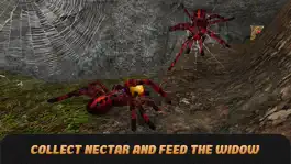 Game screenshot Spider Life Simulator 3D hack