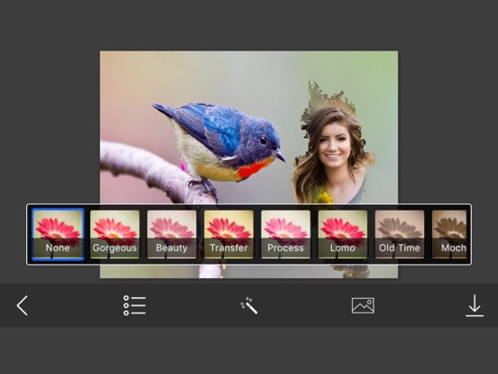 Screenshot #6 pour Bird Photo Frames - Creative Frames for your photo