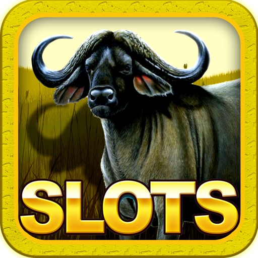 "A+" Roaming Buffalo Rich Casino Slots Hot Streak Las Vegas Journey