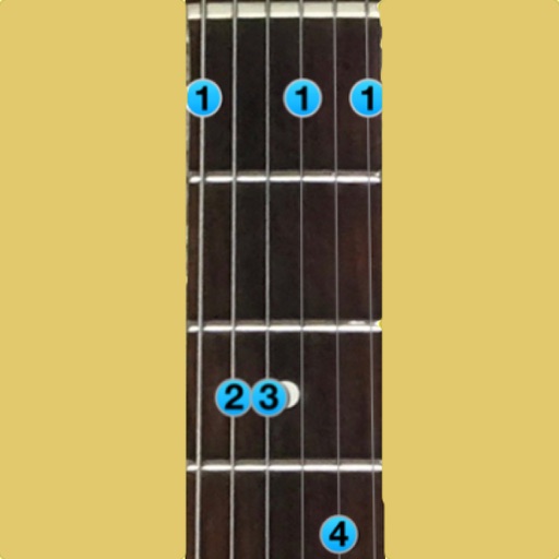 NoteSmart, 118,000 Guitar Chords