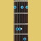 - The NoteSmart Guitar Chord Library contains over 118,000 guitar chords - all with suggested fingering
