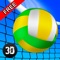 Girls Beach Volleyball Championship 3D