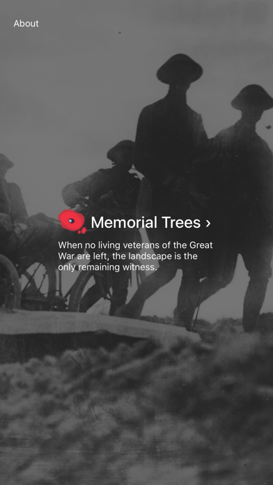 Screenshot #1 pour Ypres Salient 1914-1918 Trees