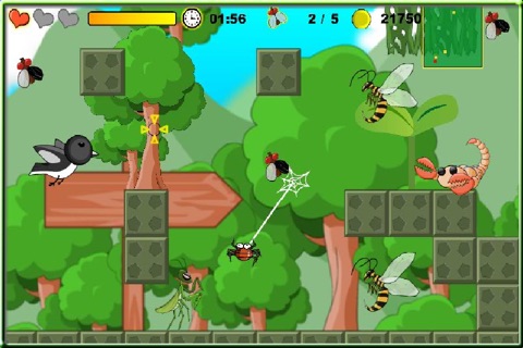 Flycatcher Adventure screenshot 3
