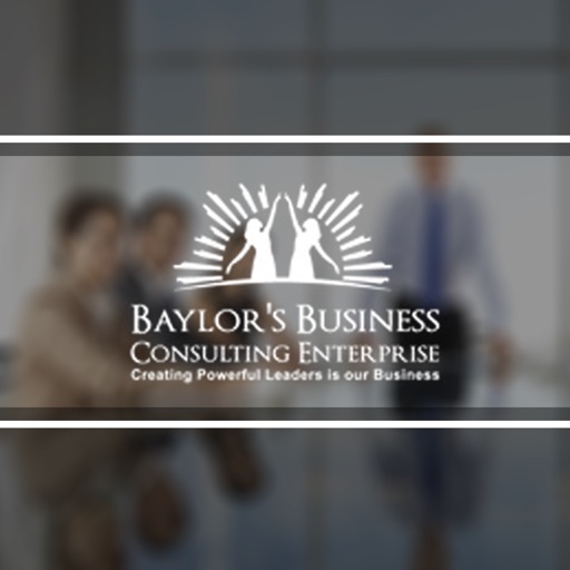 Baylor Business Consultant Enterprise