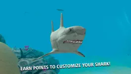 Game screenshot Wild Crazy Shark Simulator 3D hack