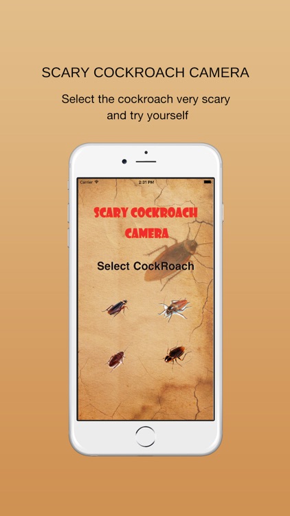 CockRoach Scare Prank - CockRoach Magic Free