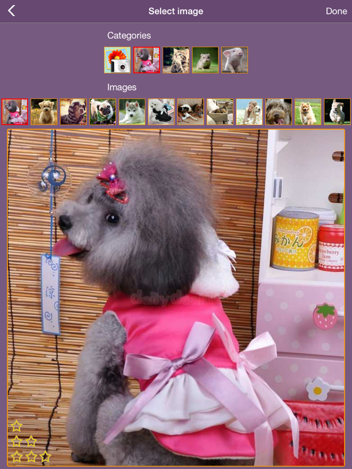 Home pets puzzle - Ultimate jigsaw tile edition