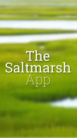 Game screenshot The Saltmarsh App apk