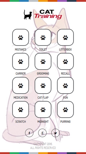 Cat Training Tips