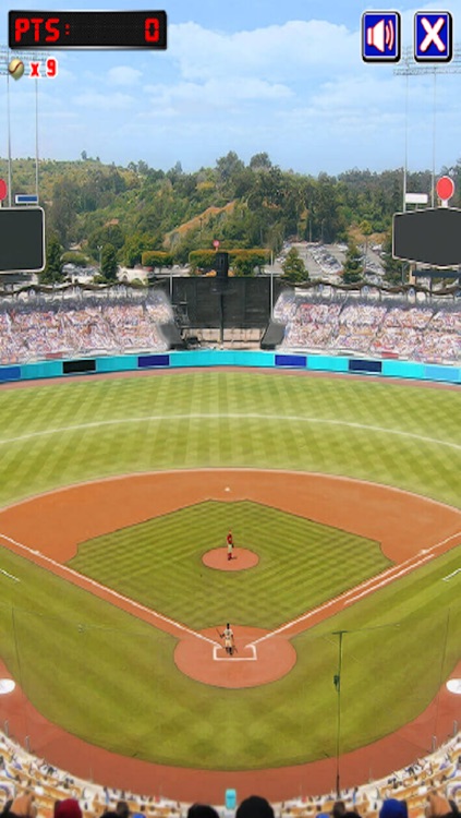 Baseball Pro!
