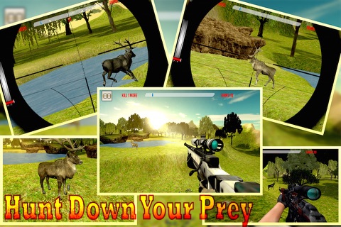 Hunting : Deer Hunting 2016 screenshot 2