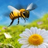 Icon Honey Bee Attack Flying 3D Simulator Game- Fly to Kill Enemy Insects