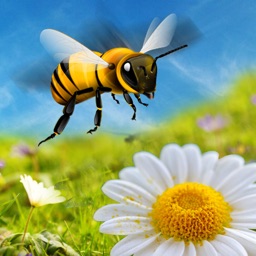 Honey Bee Attack Flying 3D Simulator Game- Fly to Kill Enemy Insects