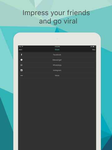 Polygon Effect - Create Low Poly Portraits and Geometric Art iPad screenshot