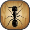 Insect Smasher Ant Killer game