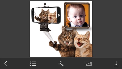 Funny Photo Frames - Decorate your moments with elegant photo frames iPhone screenshot 4 - Photo & Video app