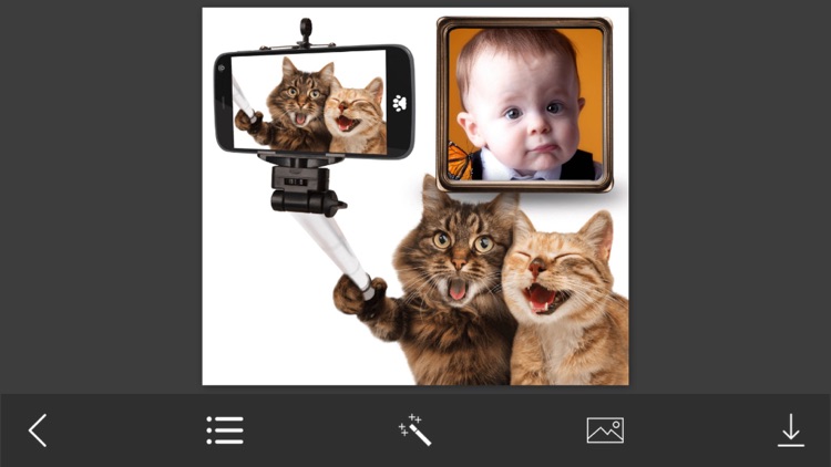 Funny Photo Frames - Decorate your moments with elegant photo frames screenshot-3