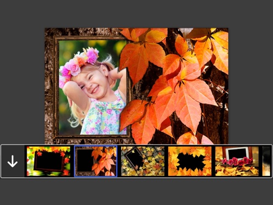 Screenshot #4 pour Autumn Photo Frames - Creative Frames for your photo