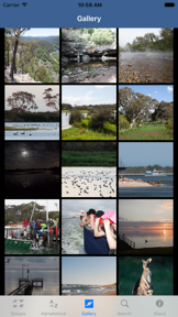 Wildlife Field Guide to Gippsland Lakes screenshot
