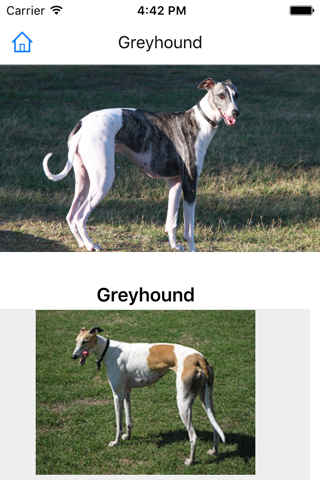 Encyclopedia of Dogs screenshot 3