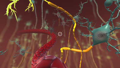 INVIVO Bloodstream Explorer VR screenshot