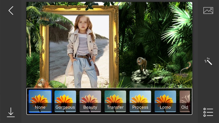 Forest Photo Frames - make eligant and awesome photo using new photo frames