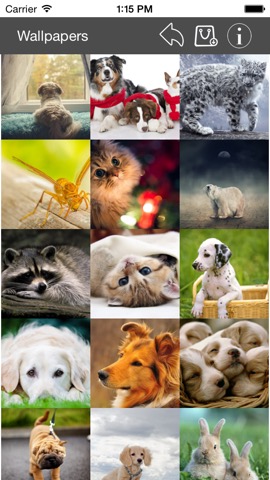 Wallpaper Collection Animals Editionのおすすめ画像2