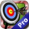 Bow and Arrow Game Pro - Archery Skills Training