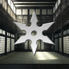 Activities of Shuriken Dojo