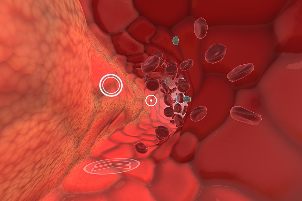 INVIVO Bloodstream Explorer VR screenshot 2