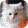 Animal Puzzle Packs & Bits - Kitty Cat Baby Mermaid Jigsaw problems & troubleshooting and solutions