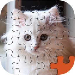 Animal Puzzle Packs & Bits - Kitty Cat bébé Mermaid Jigsaw