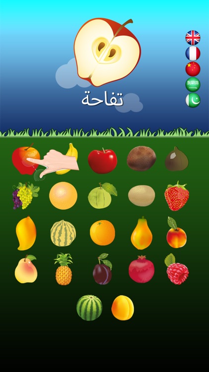 Multilingual Fruits Go for Kids