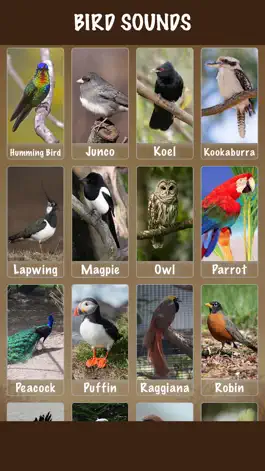 Game screenshot Bird Soundx apk