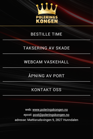 Poleringskongen screenshot 2