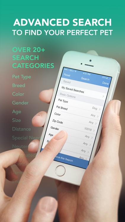 AllPaws - Find a Dog, Cat or Pet to Adopt Near You
