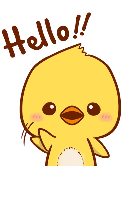 Little Chicken Sticker