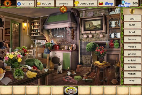 Hidden Object : Sullivan River Citizens screenshot 3