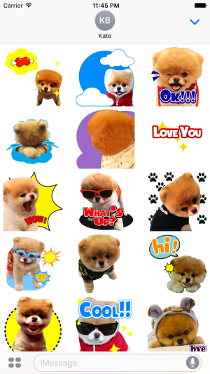 Boo The Happiest Dog(圖3)-速報App