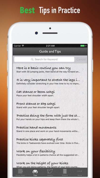 Taekwondo for Beginners-Guide and Video Lessons screenshot-3