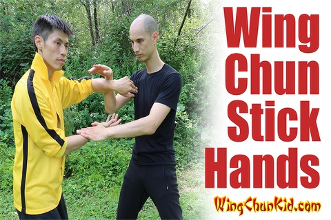 Wing Chun Training Martial Arts & KungFu Glossary screenshot 3