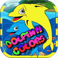 Dolphins Color Matching Test 2 3 4 5 6 Year Olds