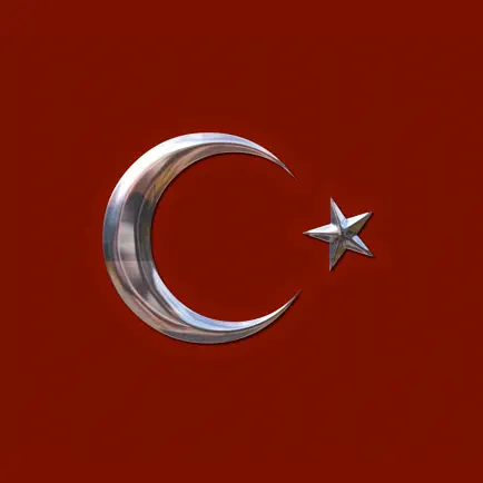 Learn Turkish Verbs - Dictionary Cheats