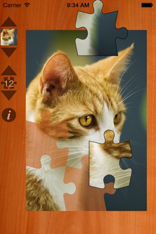 Jigsaws screenshot 3