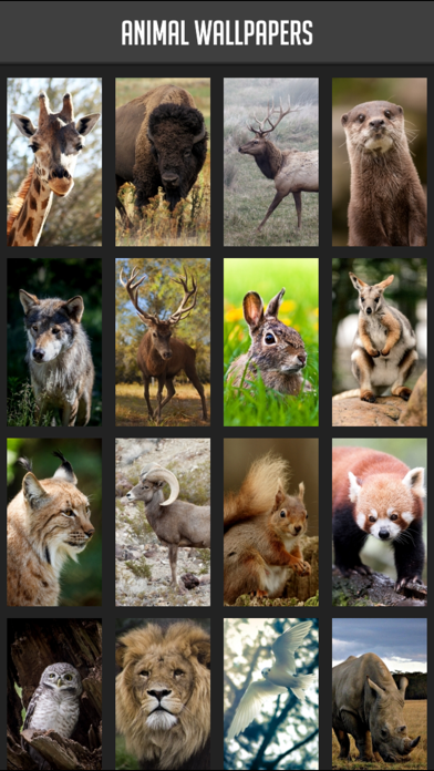 Screenshot #1 pour Animal Wallpapers!